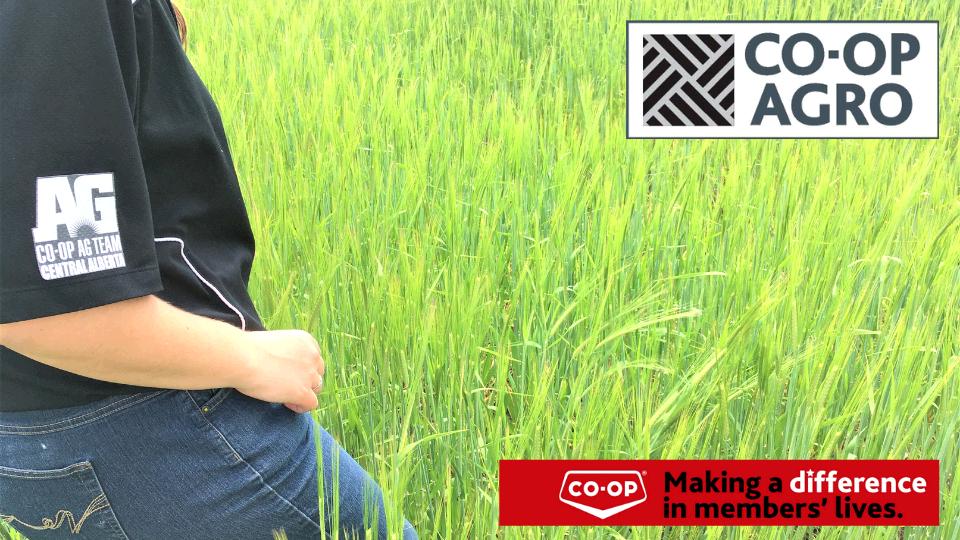 Coop Agro Central Alberta Coop